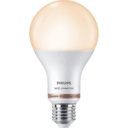 phl bulb wbt reg blancos a67 100w e27