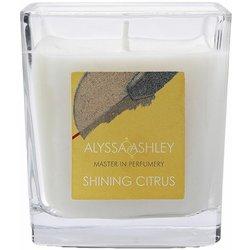 Shining citrus vela aromática 145 gr