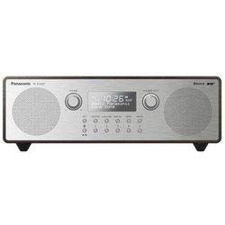 Panasonic Radio Rf-d100btegt