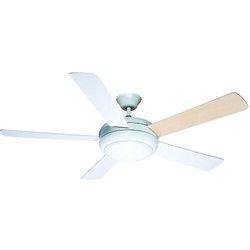 CRISTALRECORD Ventilador ac Randy blanco