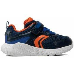 Zapatos de Niños GEOX Azul (20)