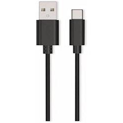 Ansmann USB-C/ USB-A 100 Negro