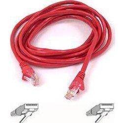 Cable de Red BELKIN (RJ45)