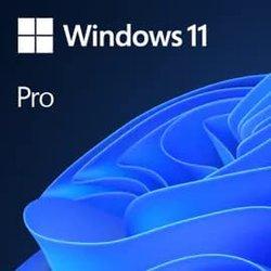 windows pro 11 32 64bit alll esd