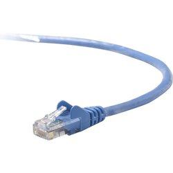 Cable de Red BELKIN (RJ45 - 2 m - Azul)