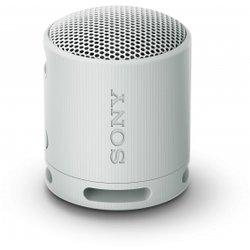 Altavoz Sony SRSXB100L