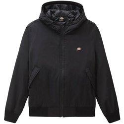 Dickies Chaqueta New Sarpy