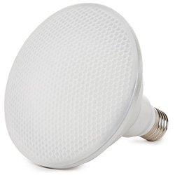 Bombilla LED GREENICE NE-PAR38-12W-IP65-CW (Casquillo: E27)