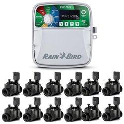 Programador de riego automático eléctrico esp-tm2 12 zonas interior rain bird + 12 electroválvulas 100hv 24v 1"