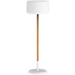 Lampara chloe plant / ø43x155.4 cm. / rgb + luz fría y cálida con batería / madera