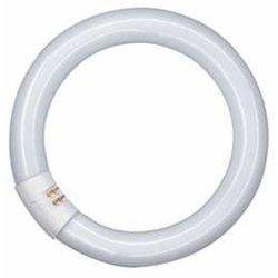 Osram Tubo fluorescente circular L40/865-40W