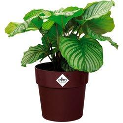 Macetero mora 35x32cm 21,9L redondo plantas flores