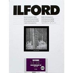 Ilford 1 x 100 MG RC DL 44M 9 x 13