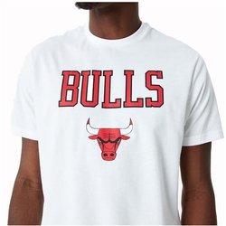 Camiseta Chicago Bulls Team Logo NEW ERA