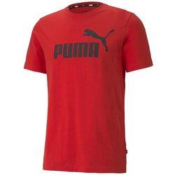 Camiseta PUMA Hombre (Multicolor - S)