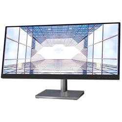 Monitor Lenovo L29W-30 73,66 cm - 29"