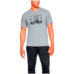 Under Armour Camiseta Boxed Sportstyle Gris