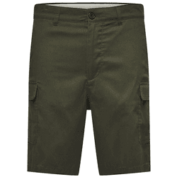 Selected Pantalones Cortos Comfort Liam Verde