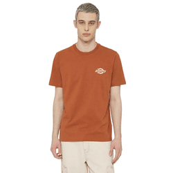 Camiseta de Hombre DICKIES (M)