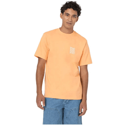 Camiseta dickies creswell papaya hombre