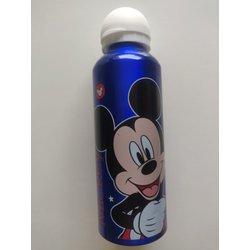 Disney Botella de aluminio para niños - cantimplora infantil - botella de agua reutilizable de 500 ml de Mickey Mouse, Frozen, Princesas