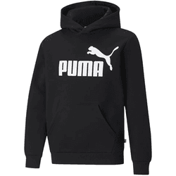 Jersey Puma  ESSENTIAL BIG LOGO HOODIE