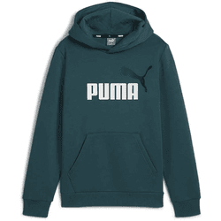 Sudadera Puma 586987 08