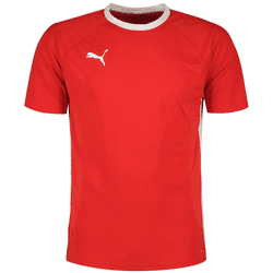 Puma Camiseta De Manga Corta Teamliga