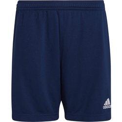 Pantalones Cortos ADIDAS Niños (7/8 Años - Multicolor)