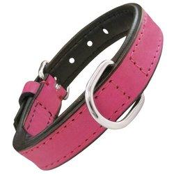 Collar Gloria Pets De Piel Acolchado Color Rosa Para Perros 50cm x 25mm