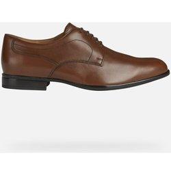 Zapatos Hombre Geox  IACOPO