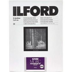 Ilford 1 x 25 MG RC DL 44M 18 x 24