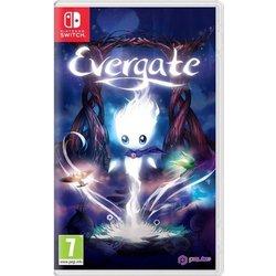 Juego evergate Nintendo Switch