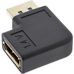 InLine 17199L adaptador de cable de vídeo DisplayPort Negro