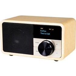 Kathrein Radio Dab/Fm Dab+ 1 Mini