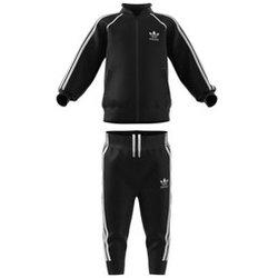 Conjunto adidas  FREDDY