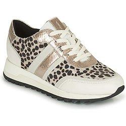 Zapatillas Geox  TABELYA