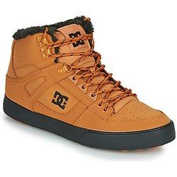 DC Shoes Zapatillas Pure High Top Wc Wnt