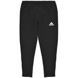 Adidas entrada 22 pantalón niño