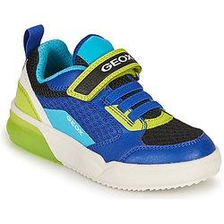 Zapatillas Geox  GRAYJAY BOY