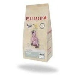 PSITTACUS PAPILLA NEONATAL 1 KG