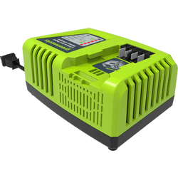 Greenworks Cargador rápido 40 V 4 A