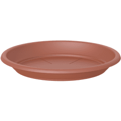 Plato redondo terracota d13 cm