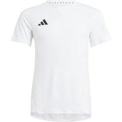 Camiseta infantil adidas Team