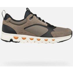 Geox Zapatillas U Spherica Ecub-4 A