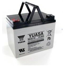 Yuasa - Batería de 12V 36Ah REC36-12í