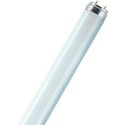 Osram Tubo fluorescente Interna (T8, Blanco cálido, 18 W, Largo: 60 cm)