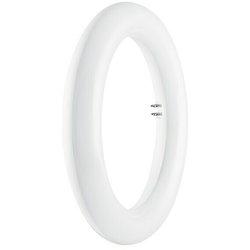 Tubo LED Circular (20 W, 3 cm, Blanco frío, 1.200 lm)