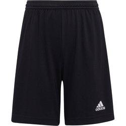 Pantalón corto para niños adidas Entrada 22