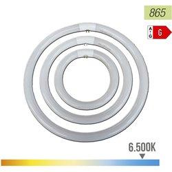 Lámpara Fluorescente PHILIPS Master TL-E Circular 22W G10Q Luz fria B